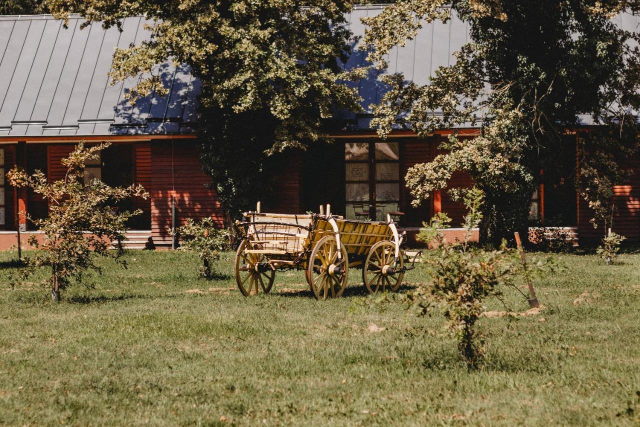 Vukovarska Kuca Hotel Bagian luar foto